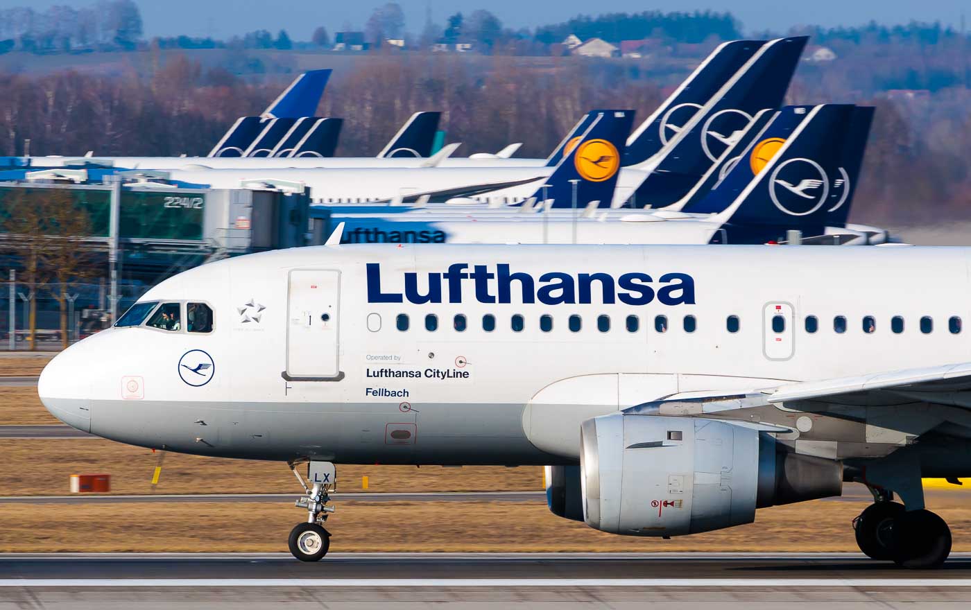 D-AILX - Lufthansa CityLine Airbus A319